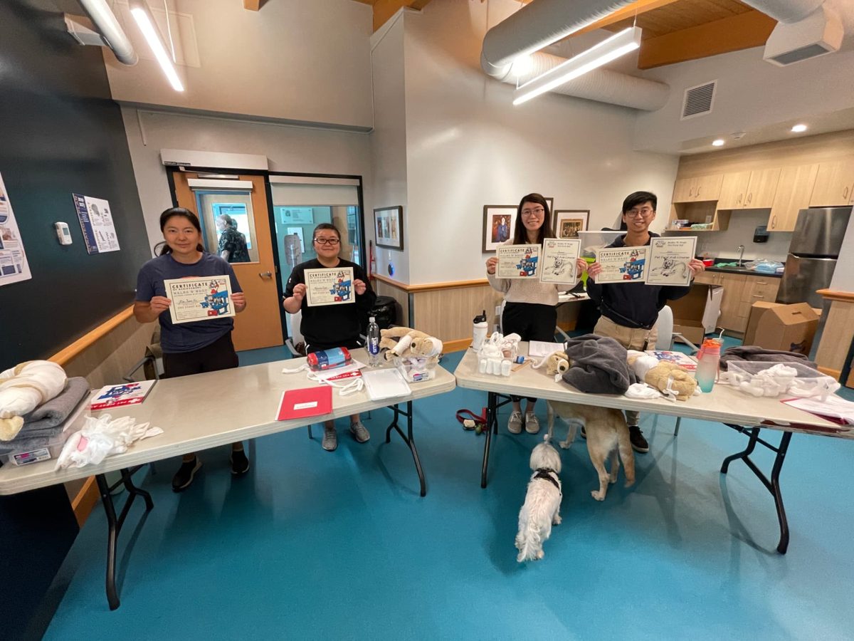 A class celebrating with certificates